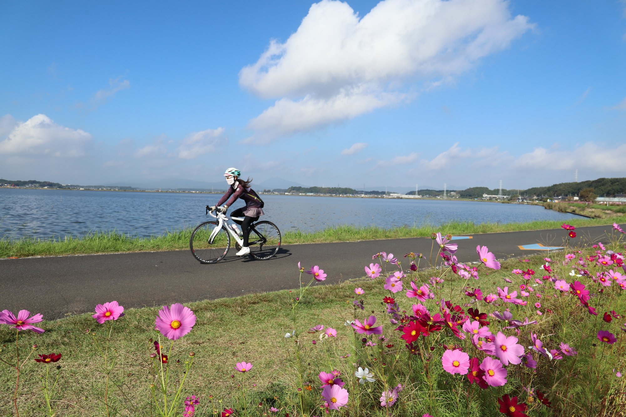 🏞️ 아유미자키 공원 (歩崎公園) 이미지 5